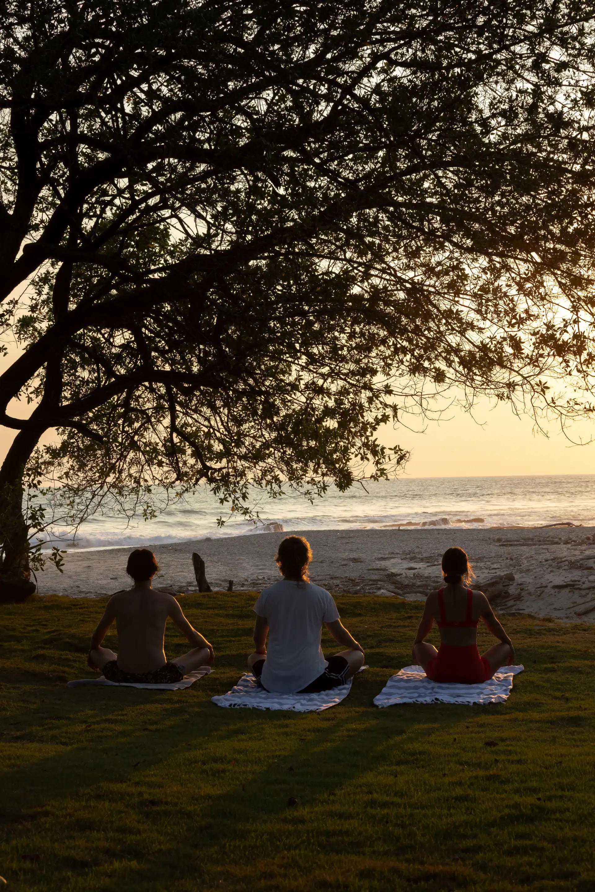 A beachside group practice in the shade of a great tree